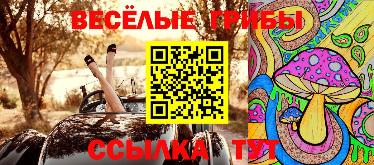 Галлюциногенные грибы MAGIC MUSHROOMS Партизанск